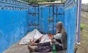 जोधपुर से गिरफ्तार,  चार बच्चों के साथ महिला को कुएं में कूदने के लिए मजबूर करने वाला पति