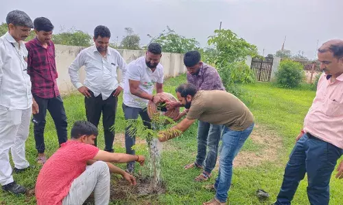 बैंक ऑफ़ बड़ौदा के स्थापना दिवस पर वृक्षारोपण