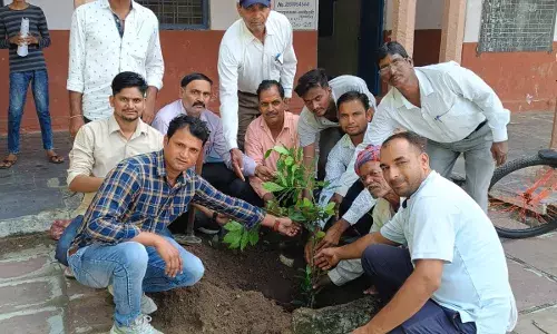 एक पेड़ माँ के नाम अभियान में रायपुर में किया वृक्षारोपण