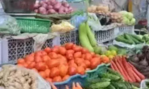 मानसून की रसोई पर मार, भीलवाड़ा में टमाटर 100 रुपये किलो; हरी सब्जियां भी हुई महंगी, पर भिंडी के तेवर हुए नरम