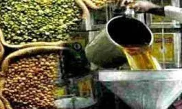 शक्कर मजबूत, खाद्य तेलों में तेजी, दलहन, दाल मजबूत, चावल सामान्य