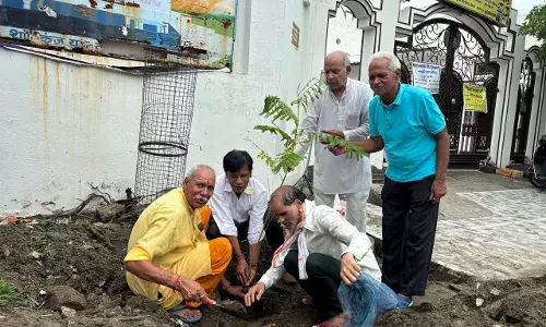 उपखंड अधिकारी व्यास पौधारोपण कर उपखंड क्षेत्र की खुशहाली की कामना की