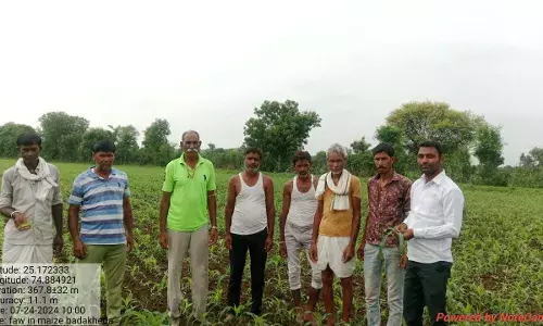 कृषि विभाग द्वारा मक्का फसल में इल्ली का निरीक्षण कर किसानों को दी जानकारी