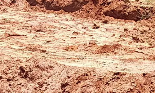 पहाड़ों के साथ ही अब चारागाह भी को भी खोद रहे हैं माफिया, कर रहे हैं अवैध मिट्टी का दोहन