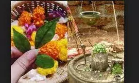 बेलपत्र के बिना पूजा रहती है अधूरी