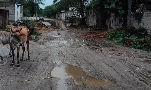 मुख्य सड़क के खड्डे नहीं भरे जाने से राहगीर परेशान, जिम्मेदार बरत रहे लापरवाही