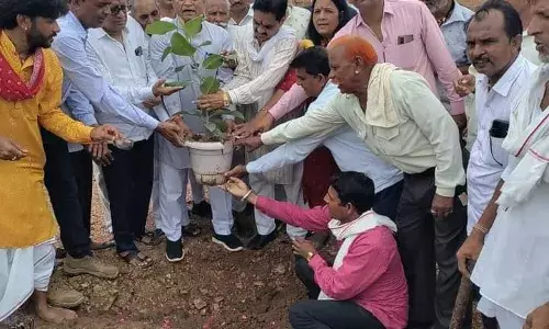 बाणमाता शक्तिपीठ संस्थान के तत्वाधान में किया पौधारोपण