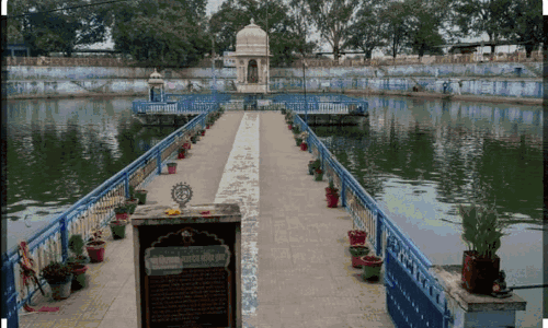 श्री तिलस्वॉ नाथ दरबार में उमड़ रहा भक्तो का सैलाब
