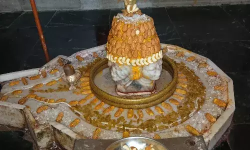 नागेश्वर महादेव का ड्राईफ्रूट से किया का श्रृंगार