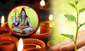 हरियाली अमावस्या पर इन कामों से बनाएं दूरी, वरना बढ़ सकती है दिक्कतें