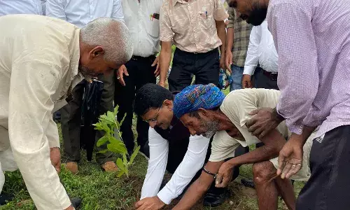 पूर्व में इसी स्थल पर जिला एवं सेशन जज ने विशेष अभियान आयोजित कर बिखेरे थे सीड बॉल्स, अब उसके इर्द गिर्द किया पौधारोपण