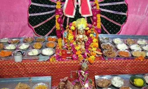 हरियाली अमावस्या मौके पर सांवलिया सेठ लगाया छप्पन भोग, हुए अनेक आयोजन
