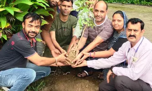 गुलाबपुरा में देवस्थानों पर लगाए 11 बिल पत्र गुलाबपुरा में देवस्थानों पर लगाए 11 बिल पत्र