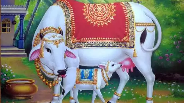 समझ लीजिए आने वाले हैं अच्छे दिन समझ लीजिए आने वाले हैं अच्छे दिन