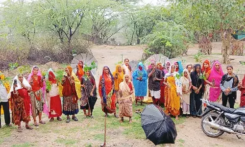 एक पेड़ मां के नाम अभियान के तहत पौधरोपण