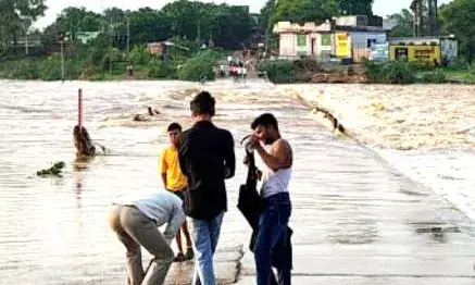 मुख्यमंत्री वृक्षारोपण महाअभियान के तहत 0.5 हेक्टेयर में लगाए 1200 पौधे