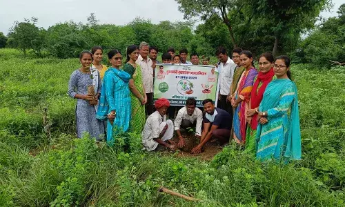 एक पेड़ मां के नाम अभियान के तहत विधालय में किया पौधारोपण