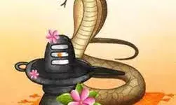 नाग पंचमी के दिन शिवलिंग पर क्या चढ़ाएं, जिससे मिले भोलेनाथ का आशीर्वाद?