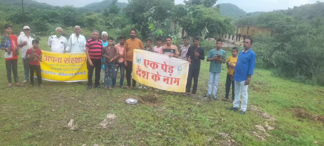 हरियाली तीज के अवसर पर सामाजिक कार्यकर्ताओं द्वारा वृक्षारोपण हरियाली तीज के अवसर पर सामाजिक कार्यकर्ताओं द्वारा वृक्षारोपण