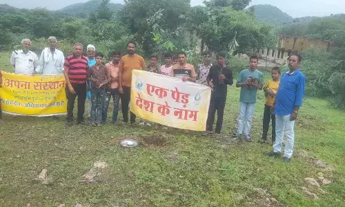 हरियाली तीज के अवसर पर सामाजिक कार्यकर्ताओं द्वारा वृक्षारोपण