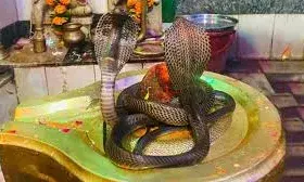 काम, क्रोध, मोह, लोभ किसी सर्प से कम नहीं