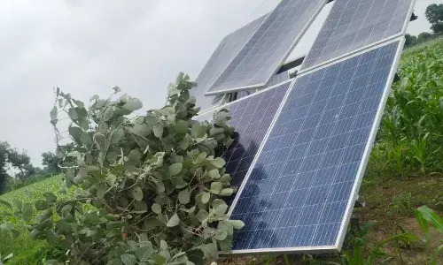 तेज हवा व बारिश से टूटी सोलर प्लेटे