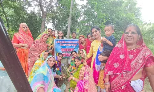 स्वर्णकार समाज महिला मंडल ने सावन उत्सव मनाया