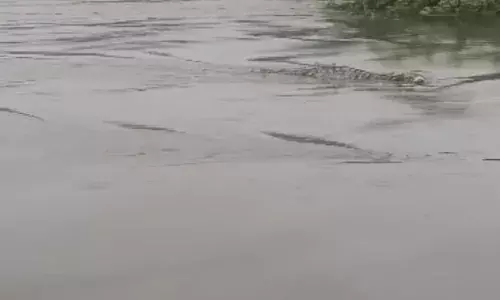 आसींद में नेखारी नदी का बहाव तेज होने के साथ ही प्रशासन हुआ अलर्ट आसींद में नेखारी नदी का बहाव तेज होने के साथ ही प्रशासन हुआ अलर्ट