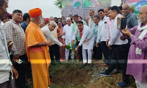 हनुमत धाम में एक पेड़ मां के नाम अभियान के तहत लगाए 500 पौधे हनुमत धाम में एक पेड़ मां के नाम अभियान के तहत लगाए 500 पौधे