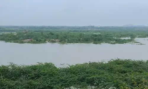 दांतड़ा बांध में फंसी दो दर्जन गायें, पुलिस व ग्रामीणों ने निकाला बाहर दांतड़ा बांध में फंसी दो दर्जन गायें, पुलिस व ग्रामीणों ने निकाला बाहर