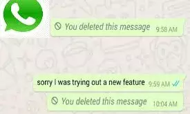 दोस्त ने मैसेज भेजा और फिर कर दिया डिलीट, वॉट्सऐप Delete मैसेज पढ़ने के लिए काम आएगा ये ट्रिक