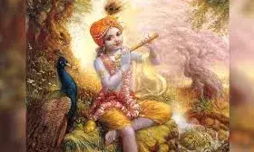 जन्माष्टमी पर भूलकर भी ना करें ये काम, जन्माष्टमी पर भूलकर भी ना करें ये काम,