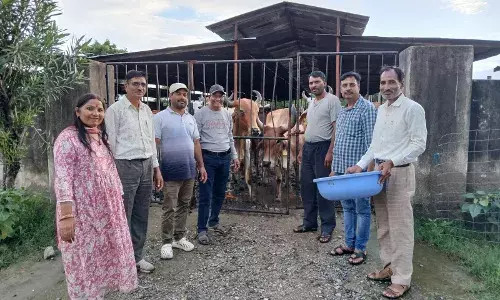 वंदे मातरम के जयघोष से श्री कृष्ण गौशाला में राष्ट्रभक्ति का वातावरण बनाया