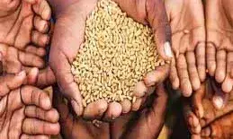 मुफ्त राशन स्कीम के लाभार्थियों को लग सकता है झटका!