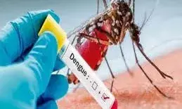 डेंगू मरीजों को अब नहीं पड़ेगी भटकने की जरूरत, आसानी से मिलेगी प्लाज्मा व प्लेट्लेट्स की सुविधा
