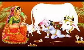 आज बछ बारस व्रत, जानें शुभ मुहूर्त, पूजा विधि और महत्व