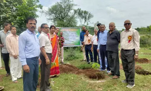 तारबंदी के साथ किया सघन वृक्षारोपण