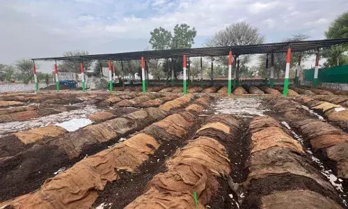 प्राकृतिक खेती के लिए 5 हजार वर्मी कंपोस्ट इकाई की जाएंगी स्थापित —कृषकों को 50 हजार का दिया जा रहा अनुदान