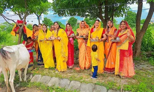 जिले भर में मनाया गया बच्छ बारस का पर्व जिले भर में मनाया गया बच्छ बारस का पर्व