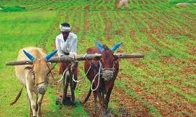 कृषि क्षेत्र के लिए सात योजनाओं को कैबिनेट की मंजूरी, केन्द्रीय मंत्री वैष्णव ने कहा – सरकार खर्च करेगी 14000 करोड़ रुपए