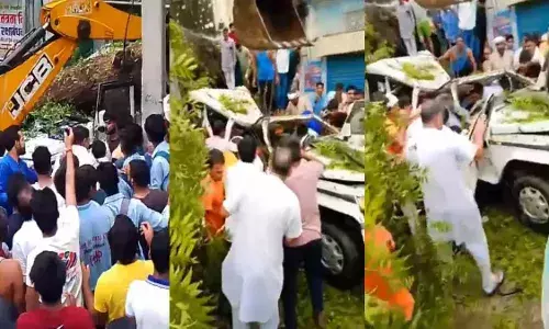 बोलेरो पर गिरा पेड़़, प्रिंसिपल की मौके पर ही मौत