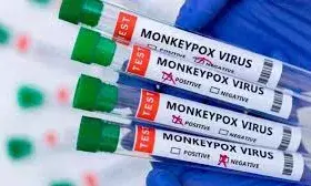क्या अब भारत के लिए खतरा बनेगा मंकीपॉक्स वायरस? एक्सपर्ट्स से जानें