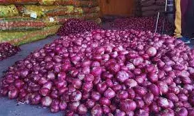 सरकार के इस कदम से 5 रुपए गिरे प्याज के दाम, इन शहरों में भाव कम करने के लिए बनाया ये प्लान सरकार के इस कदम से 5 रुपए गिरे प्याज के दाम, इन शहरों में भाव कम करने के लिए बनाया ये प्लान