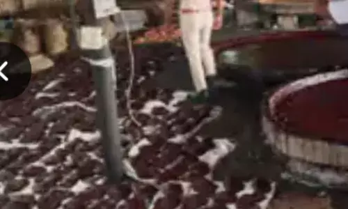 अब पकड़ी गई मिलावटी गुड़ फैक्ट्री 9000 किलो गुड़ जब्त