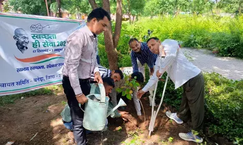 स्वच्छता ही सेवा 2024 के अंतर्गत एक पेड़ स्वच्छता के नाम कार्यक्रम संपन्न स्वच्छता ही सेवा 2024 के अंतर्गत एक पेड़ स्वच्छता के नाम कार्यक्रम संपन्न