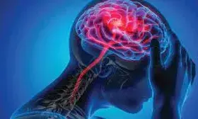 महिलाओं की याददाश्त पुरुषों से तेज होती है या कमजोर? एक्सपर्ट से जानें