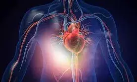 शरीर में इन चार चीजों का बढ़ा हुआ स्तर हृदय के लिए सबसे ज्यादा खतरनाक, हो सकता है हार्ट अटैक शरीर में इन चार चीजों का बढ़ा हुआ स्तर हृदय के लिए सबसे ज्यादा खतरनाक, हो सकता है हार्ट अटैक