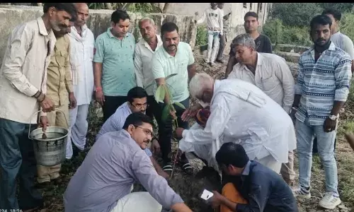 श्री तिलस्वां महादेव मंदिर में किया पौधरोपण