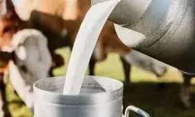 दूध बेचने वाले किसानों को नहीं होगा नुकसान, सरकार का है ये प्लान दूध बेचने वाले किसानों को नहीं होगा नुकसान, सरकार का है ये प्लान