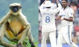 कानपुर में खिलाड़ियों की सुरक्षा करेंगे लंगूर